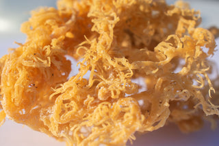 What Does Sea Moss Do? Benefits & Uses of the Superfood