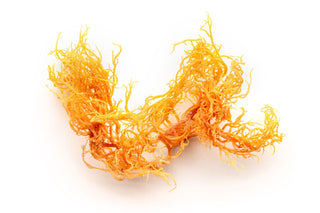 Should You Try Sea Moss For Weight Loss?