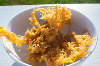 How Long Does It Take Sea Moss to Work? When to Expect Results