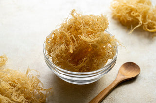 All About Sea Moss: Your Ultimate Guide to Benefits & Supplements